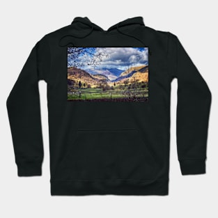 Place to Gaze Hoodie